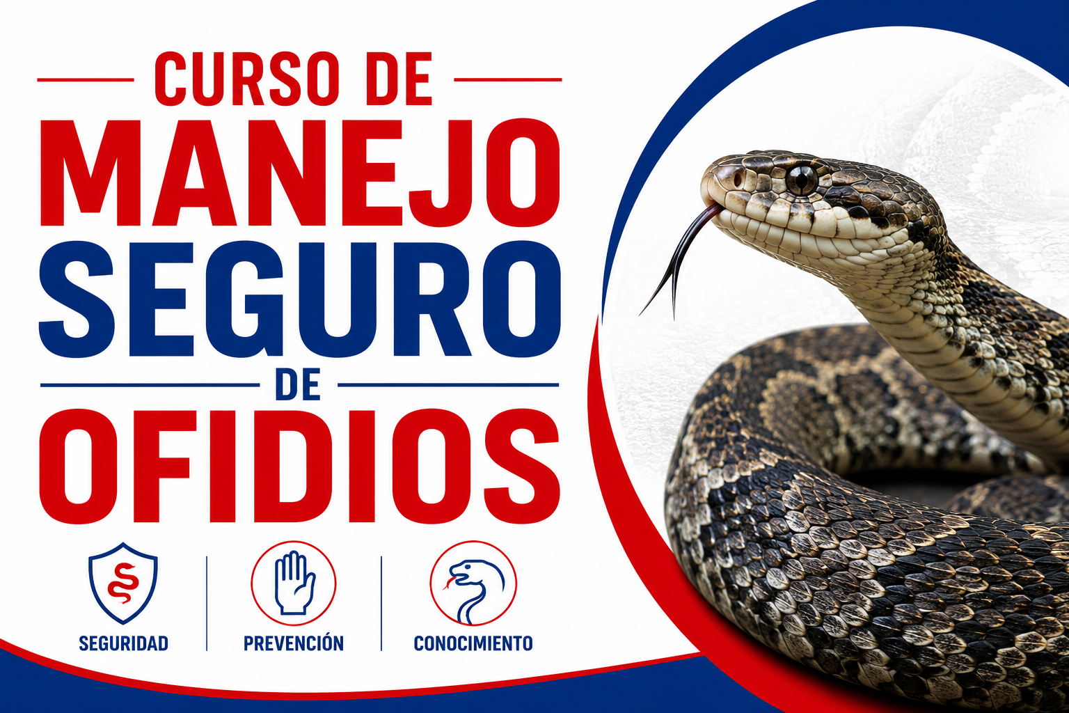 f602e6f0 3794 408f a8ad 858638b6ba0b